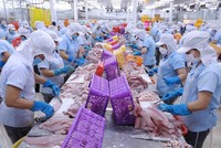 Doanh nghiệp Việt cần hết sức cẩn trọng trước các thủ đoạn lừa đảo mới khi tham gia thương mại quốc tế (Ảnh minh họa)