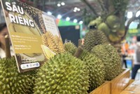 Sầu riêng Việt Nam đang phát triển mạnh mẽ.