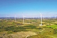 Tại Dự án Nhà máy Điện gió Chơ Long, UBND tỉnh Gia Lai đã ban hành quyết định giao đất, cho thuê đất có sai phạm.