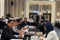 Tỉnh Bình Định làm việc với Phòng Thương mại và Công nghiệp Abu Dhabi. Ảnh: IPC Bình Định