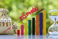 Nhiều chuyên gia và nhà phân tích cho rằng, môi trường vĩ mô hiện phù hợp với việc phân bổ vốn đầu tư vào danh mục tài sản rủi ro, bao gồm cổ phiếu. 