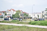 Nhiều địa phương vào cuộc kiểm soát giá bất động sản và đấu giá đất