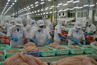 Chế biến cá tra xuất khẩu ở Đồng bằng sông Cửu Long