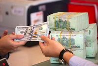 Kho bạc Nhà nước đã chào mua 350 triệu USD từ các ngân hàng
