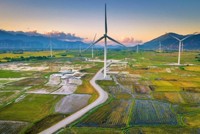 Trang trại điện gió Đầm Nại là một điểm check in được giới trẻ yêu thích tại Ninh Thuận. Ảnh: sưu tầm