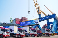 Lô hàng sơ mi rơ moóc của Thaco Trailers xuất khẩu sang Mỹ năm 2024.