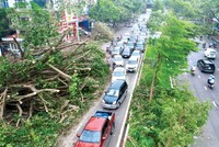 Giá trị thiệt hại do bão Yagi của các tài sản được bảo hiểm ước tính 7.000 tỷ đồng