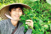 Nguyễn Phước Tây, chủ chuỗi vườn rau sạch khép kín.