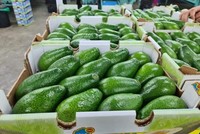 Đề xuất Trung Quốc mở cửa thị trường cho trái bơ, na, roi, thảo quả của Việt Nam