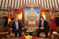 Tổng Bí thư, Chủ tịch nước Tô Lâm hội đàm hẹp với Tổng thống Mông Cổ Khurelsukh. Ảnh: TTXVN 