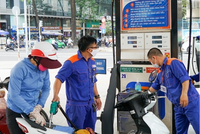 Thương nhân phân phối và bán lẻ kiến nghị chưa trình dự thảo kinh doanh xăng dầu, tiếp tục lấy ý kiến doanh nghiệp