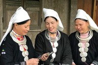 Ảnh minh hoạ. (Nguồn: Internet)