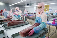 Theo báo cáo của Tổng Liên đoàn Lao động Việt Nam, kinh phí công đoàn chiếm tỷ trọng nhỏ trong chi phí của doanh nghiệp. Ảnh: Đức Thanh 