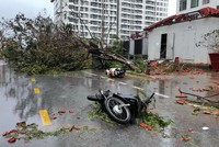 Hiện tại, thị trường bảo hiểm chưa có sản phẩm bảo hiểm chuyên biệt về giông bão