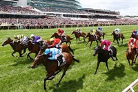 HH Rồng Vàng đang lựa chọn xét duyệt 50 đại lý cá cược đua ngựa trên cả nước