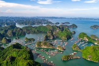 Đảo Cát Bà sở hữu nhiều lợi thế để phát triển du lịch sinh thái xanh