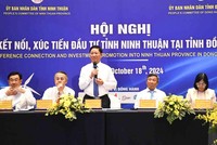 Ông Trần Quốc Nam (đứng) Chủ tịch UBND tỉnh Ninh Thuận trả lời một số vấn đề mà nhà đầu tư quan tâm
