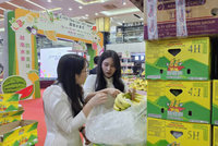 Việt Nam thu gần 1 tỷ USD xuất khẩu rau quả trong một tháng 