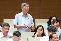 Đại biểu Nguyễn Anh Trí phát biểu tại phiên thảo luận.