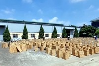 Làng nghề cỏ tế mây tre đan tại xã Phú Túc, huyện Phú Xuyên.