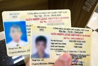 Để không bị gián đoạn hoạt động cấp mới, cấp đổi, cấp lại giấy phép lái xe, Sở GTVT Hà Nội đề nghị mua bổ sung 120.000 phôi in giấy phép lái xe để sử dụng trong năm 2024. Ảnh minh hoạ: Lương Tuấn 