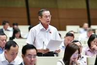 Đại biểu Trần Hữu Hậu phát biểu tại hội trường.