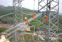 Dự án đường dây 500 kV mạch 3 từ Quảng Bình đến Phố Nối đã vận dụng đấu thầu trước, rút ngắn thời gian thực hiện dự án từ 6 - 8 tháng.