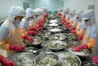 Thương mại hàng hóa của Việt Nam với châu Mỹ phục hồi mạnh, 9 tháng năm 2024 đạt trên 120 tỷ USD. 