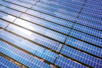 Mảng năng lượng tái tạo đang đóng góp nhiều nhất vào cơ cấu doanh thu của BCG