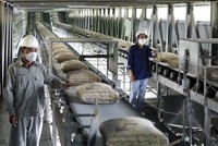 Sản phẩm sắt, thép, xi măng, phân bón, hydrogen nằm trong danh sách bị ảnh hưởng bởi CBAM