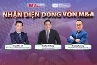 Nhận diện dòng vốn M&A 