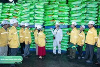 Phân bón Cà Mau đóng góp 18% lượng xuất khẩu phân bón cả nước