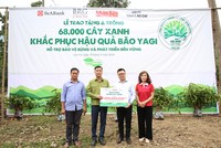 SeABank và Tập đoàn BRG chung tay trồng 68.000 cây phủ xanh gần 20 ha rừng tại Lào Cai