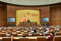 Quốc hội nghe báo cáo giải trình trước khi bấm nút.