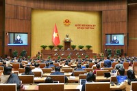 Chủ nhiệm Ủy ban Tư pháp Lê Thị Nga trình bày báo cáo thẩm tra.