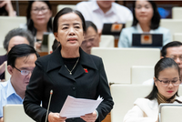 Đại biểu Nguyễn Thị Kim Thúy (Đà Nẵng) phát biểu.