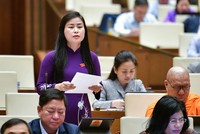 Đại biểu Đặng Thị Bảo Trinh (Quảng Nam)