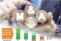 Những động thái tích cực của nền kinh tế cùng nỗ lực cải cách, hoàn thiện thể chế đang là động lực giúp thị trường M&A tại Việt Nam nhộn nhịp hơn trong thời gian tới. Ảnh: Shutterstock. Đồ họa: T.H 