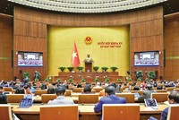 Quốc hội nghe tờ trình và báo cáo thẩm tra về việc tiếp tục chủ trương đầu tư Dự án Điện hạt nhân Ninh Thuận