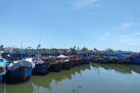 Dự án nâng cấp, mở rộng khu neo đậu tránh trú bão kết hợp cảng cá Tịnh Hòa khi hoàn thành sẽ đảm bảo cho hơn 1.000 tàu thuyền neo đậu.