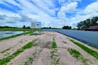 Dự án Khu đô thị An Huy Mỹ Việt vẫn chỉ là cánh đồng mông mênh nước và cỏ (Ảnh: G.P)