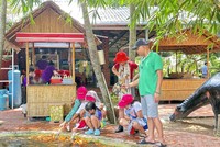 Các tour du lịch ngắn ngày được du khách lựa chọn nhiều trong dịp Tết Dương lịch 2025.