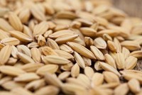 Ảnh minh hoạ. (Nguồn: Internet)