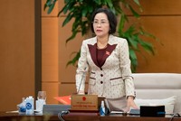 Phó chủ tịch Quốc hội Nguyễn Thị Thanh phát biểu tại phiên họp.