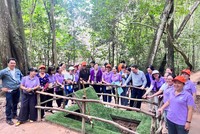 TP.HCM đặt mục tiêu đón hơn 53 triệu lượt khách trong năm 2025.