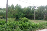 Dự án Trang trại chăn nuôi kết hợp trồng trọt triển khai tại thôn Phương Nghệ, xã Quế Phú huyện Quế Sơn