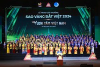 Tỏa sáng Top 10 Sao Vàng đất Việt 2024