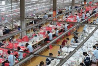 May Sông Hồng đầu tư ra nước ngoài, mở dư địa phát triển mới