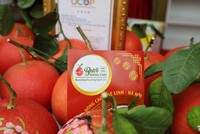 Sản phẩm bưởi đỏ của Hợp tác xã Bưởi đỏ Đông Cao đã được UBND thành phố Hà Nội công nhận 4 sao trong Chương trình mỗi xã một sản phẩm (OCOP).