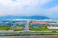 Ảnh minh hoạ. (Nguồn: Internet)